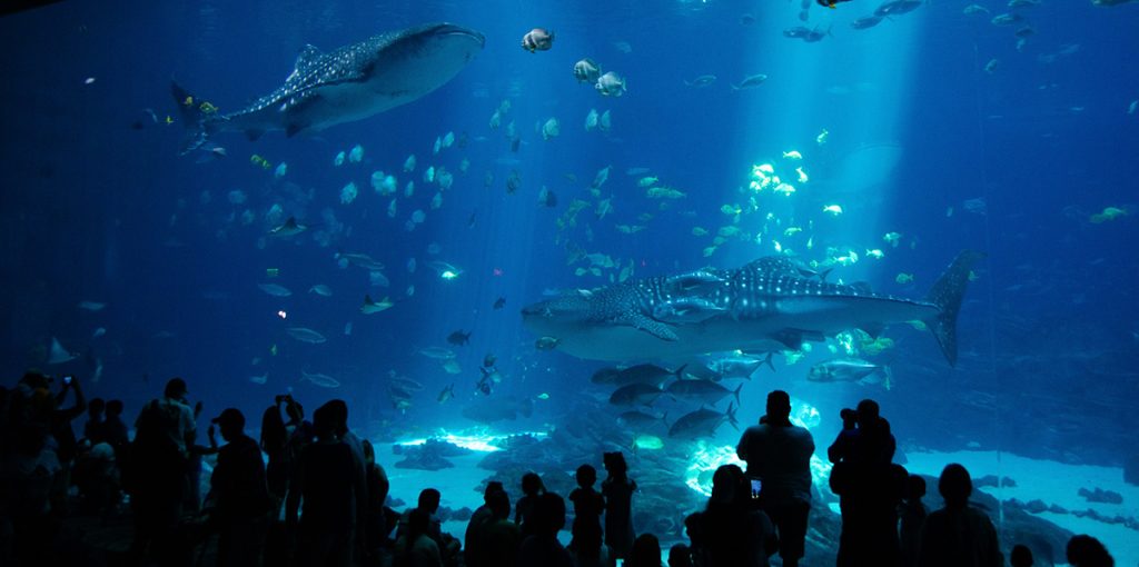 Georgia Aquarium