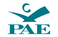 20% de Descuento en tu próximo alquiler con Budget Perú y el programa Join PAE de PAE.