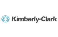 20% de Descuento en tu próximo alquiler con Budget Perú y el programa Experiencia KC de Kimberly Clark.
