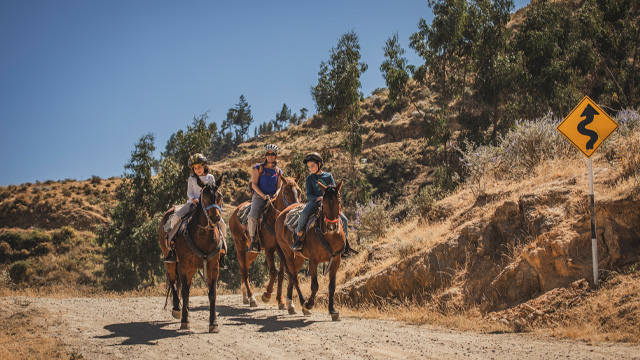 Refugio Viñak excursión a caballo